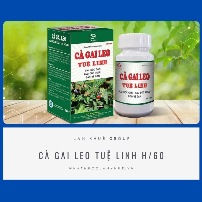 CÀ GAI LEO TUỆ LINH H/60