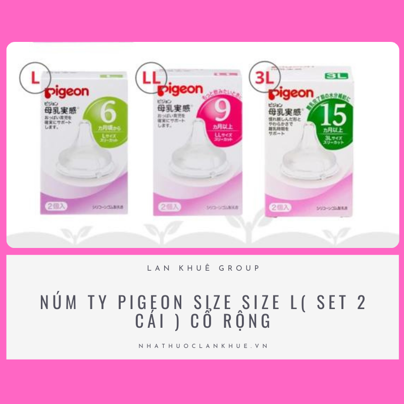 NÚM TY PIGEON SIZE SIZE L( SET 2 CÁI ) CỔ RỘNG