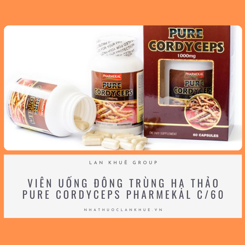 VIÊN UỐNG ĐÔNG TRÙNG HẠ THẢO PURE CORDYCEPS PHARMEKAL C/60