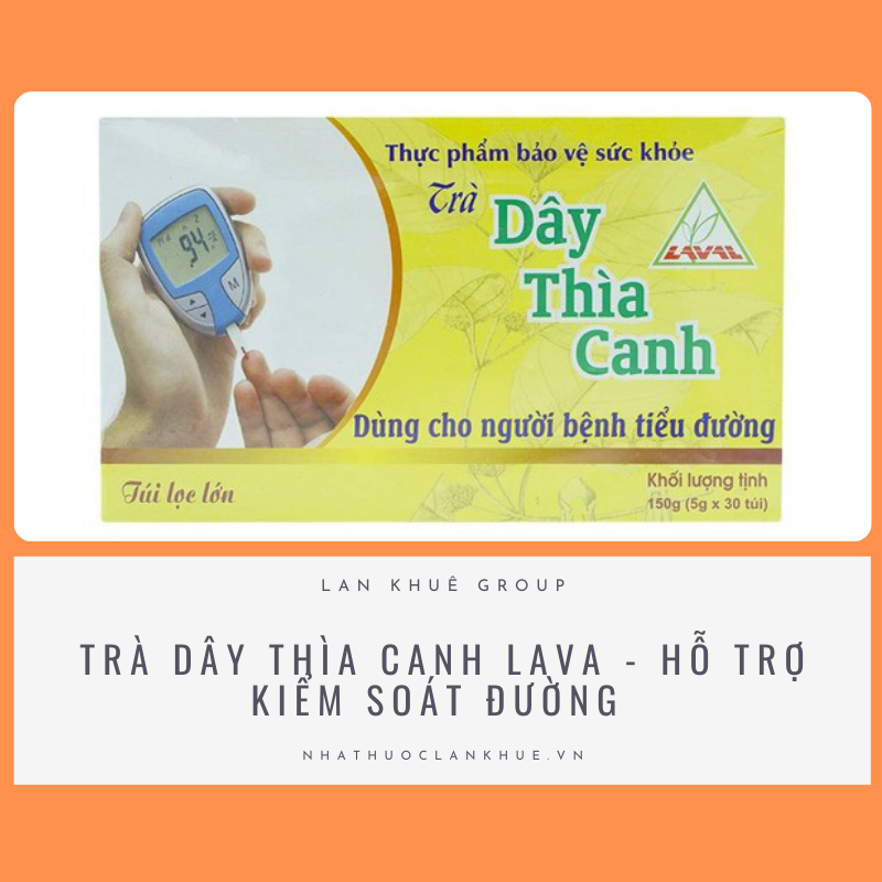 TRÀ DÂY THÌA CANH LAVA - HỖ TRỢ KIỂM SOÁT ĐƯỜNG 