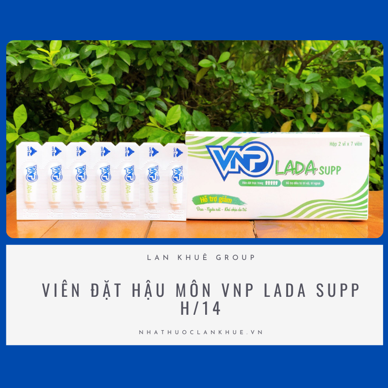 VIÊN ĐẶT HẬU MÔN VNP LADA SUPP H/14