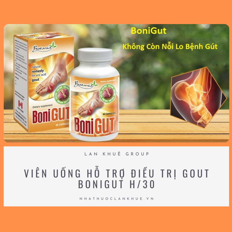 VIÊN UỐNG HỖ TRỢ ĐIỀU TRỊ GOUT BONIGUT H/30