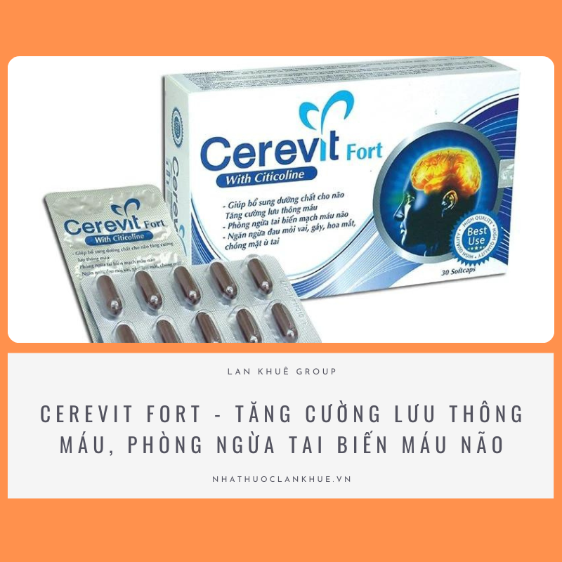 CEREVIT FORT - TĂNG CƯỜNG LƯU THÔNG MÁU, PHÒNG NGỪA TAI BIẾN MÁU NÃO, GIẢM ĐAU NHỨC VAI GÁY, HOA MẮT CHÓNG MẶT, Ù TAI