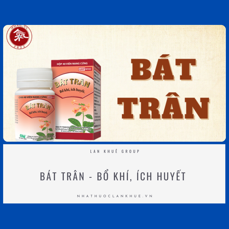 BÁT TRÂN FITO PHARMA HỘP 40 VIÊN